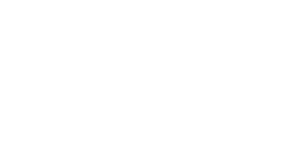 Pal Forge IT Solutions